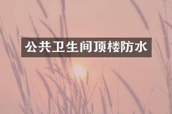 公共卫生间顶楼防水