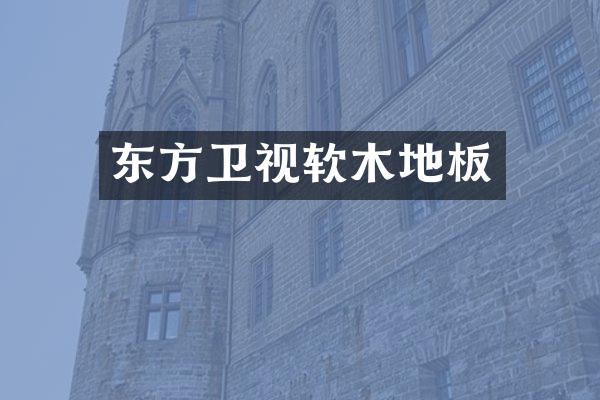 东方卫视软木地板