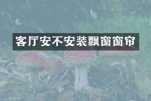 客厅安不安装飘窗窗帘
