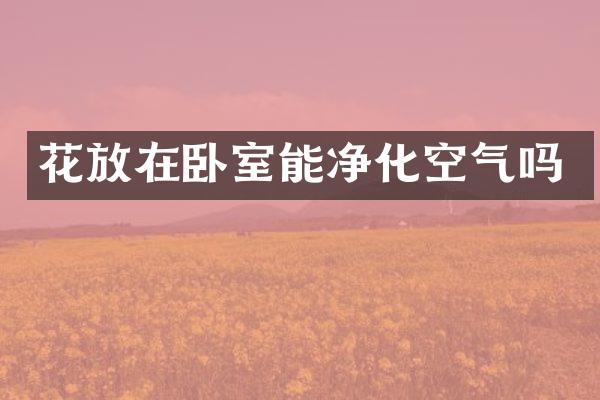花放在卧室能净化空气吗