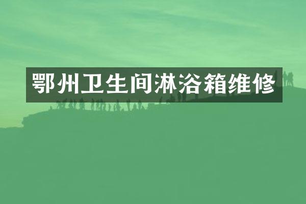 鄂州卫生间淋浴箱维修