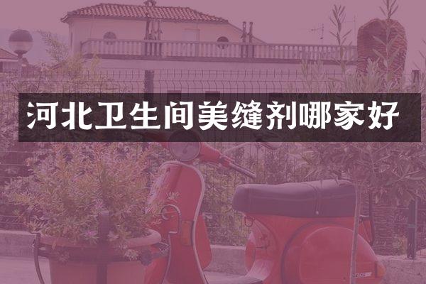 河北卫生间美缝剂哪家好
