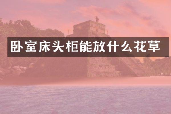 卧室床头柜能放什么花草