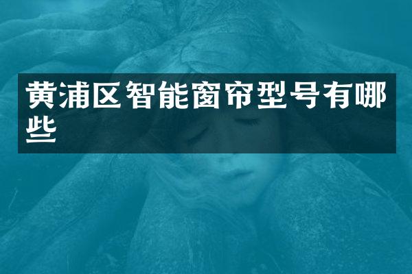 黄浦区智能窗帘型号有哪些