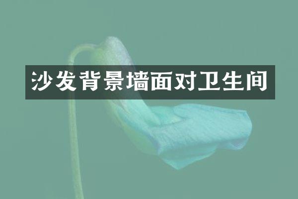 沙发背景墙面对卫生间