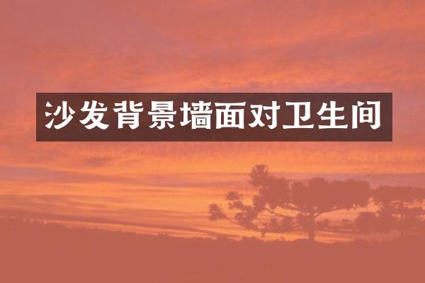 沙发背景墙面对卫生间