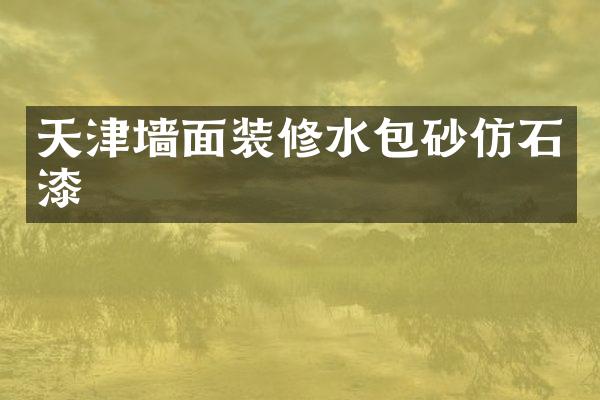 天津墙面装修水包砂仿石漆