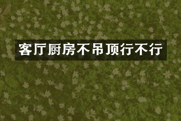 客厅厨房不吊顶行不行