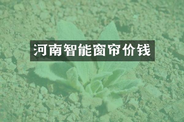 河南智能窗帘价钱