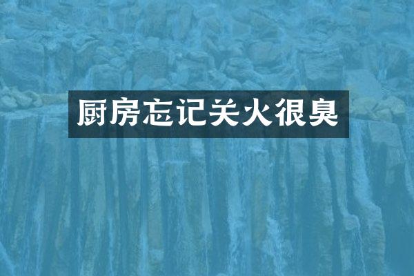厨房忘记关火很臭