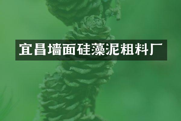 宜昌墙面硅藻泥粗料厂
