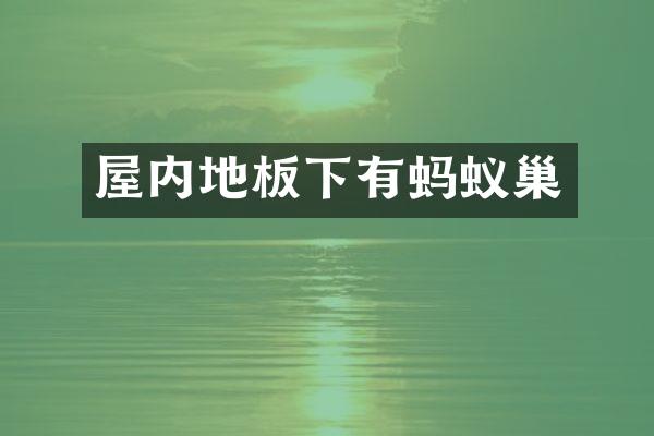 屋内地板下有蚂蚁巢