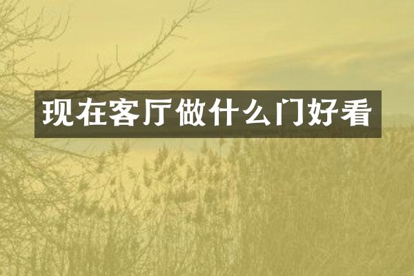 现在客厅做什么门好看