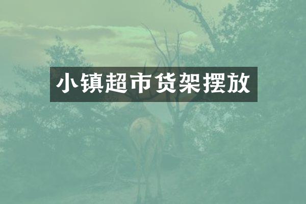 小镇超市货架摆放