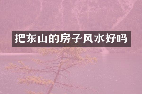 把东山的房子风水好吗