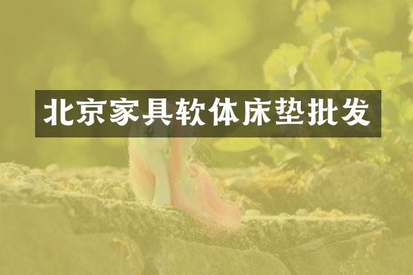 北京家具软体床垫批发