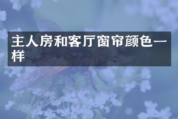 主人房和客厅窗帘颜色一样