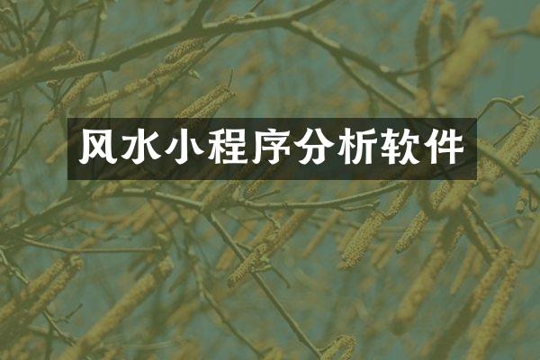 风水小程序分析软件