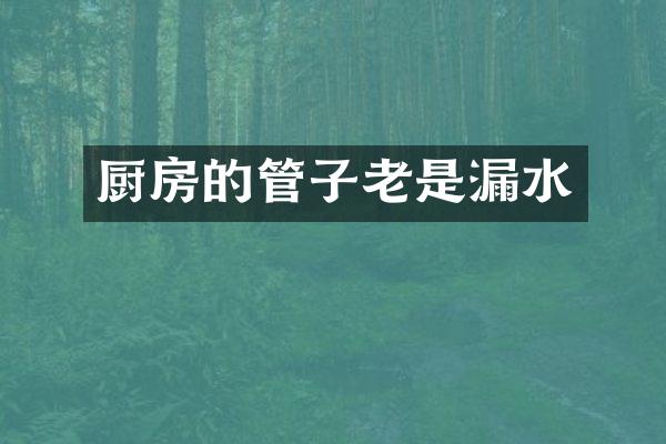 厨房的管子老是漏水