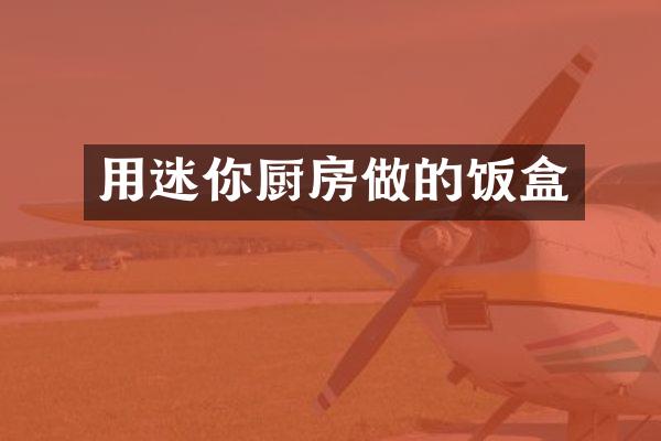 用迷你厨房做的饭盒