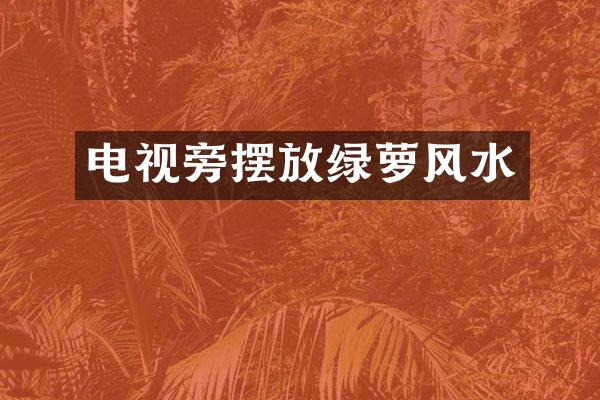电视旁摆放绿萝风水