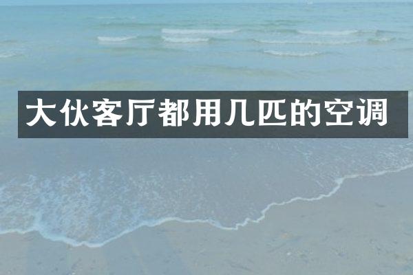 大伙客厅都用几匹的空调