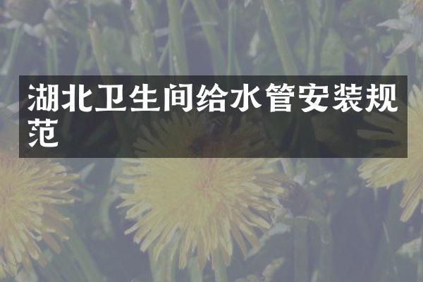 湖北卫生间给水管安装规范