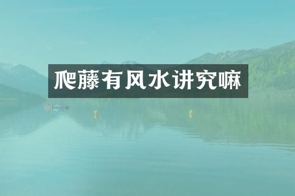 爬藤有风水讲究嘛