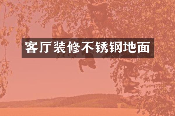 客厅装修不锈钢地面