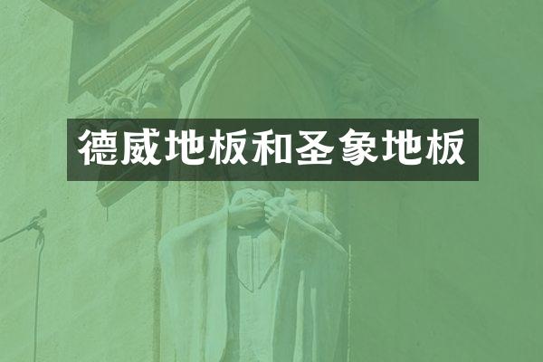 德威地板和圣象地板