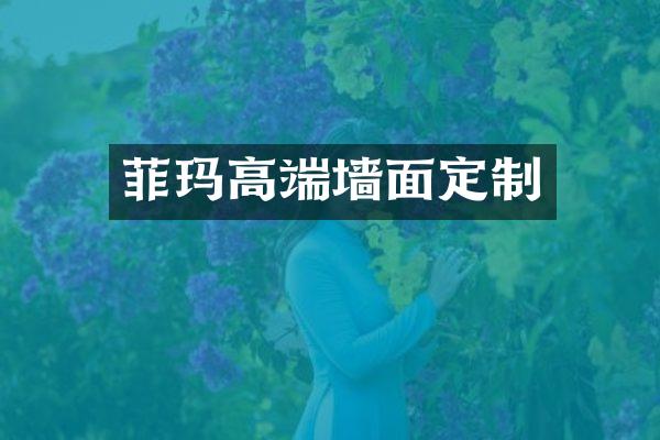菲玛高端墙面定制