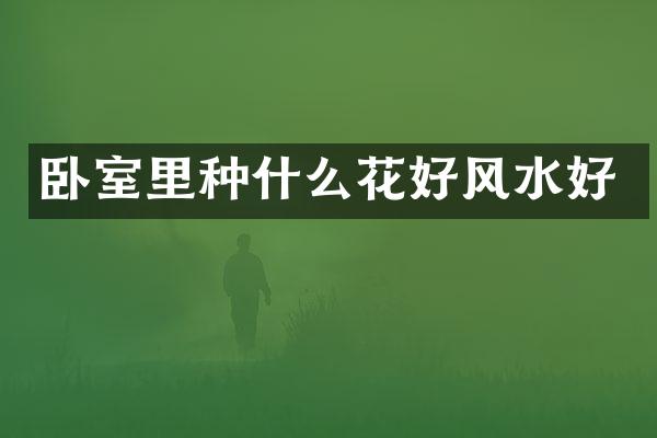 卧室里种什么花好风水好