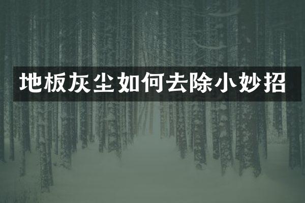 地板灰尘如何去除小妙招