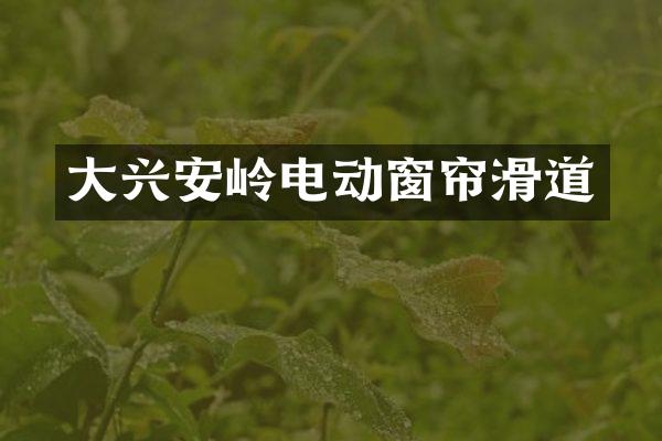 大兴安岭电动窗帘滑道