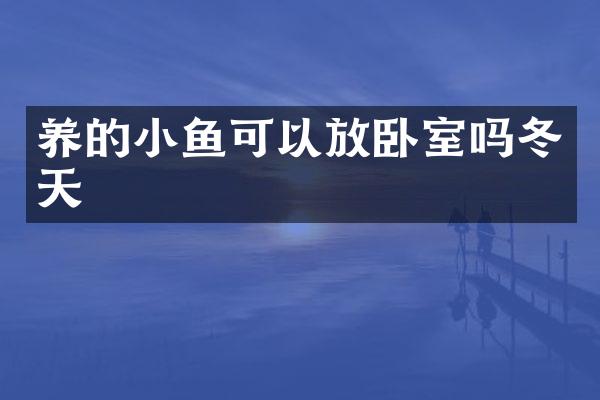 养的小鱼可以放卧室吗冬天