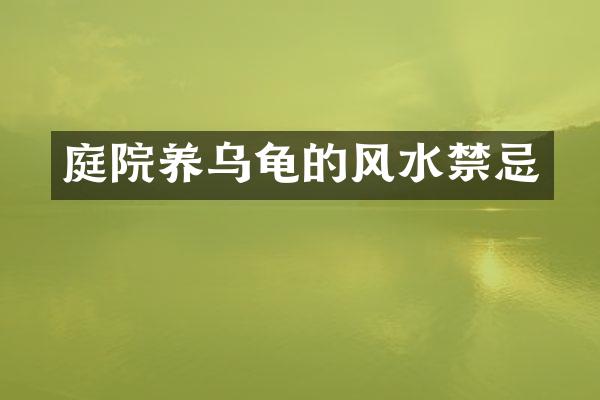 庭院养乌龟的风水禁忌