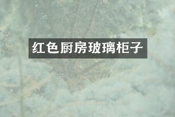 红色厨房玻璃柜子