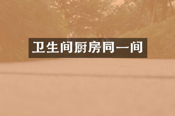 卫生间厨房同一间