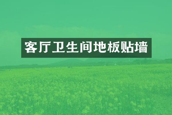 客厅卫生间地板贴墙