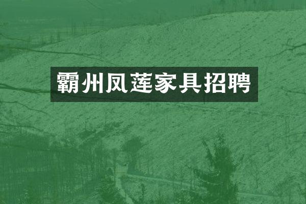 霸州凤莲家具招聘