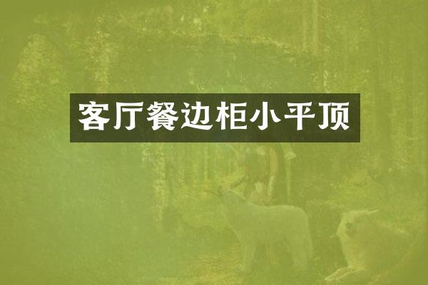 客厅餐边柜小平顶