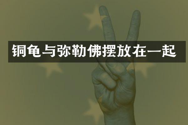 铜龟与弥勒佛摆放在一起