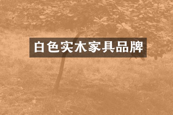 白色实木家具品牌