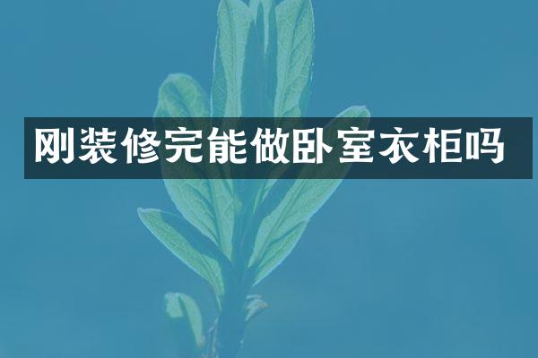 刚装修完能做卧室衣柜吗
