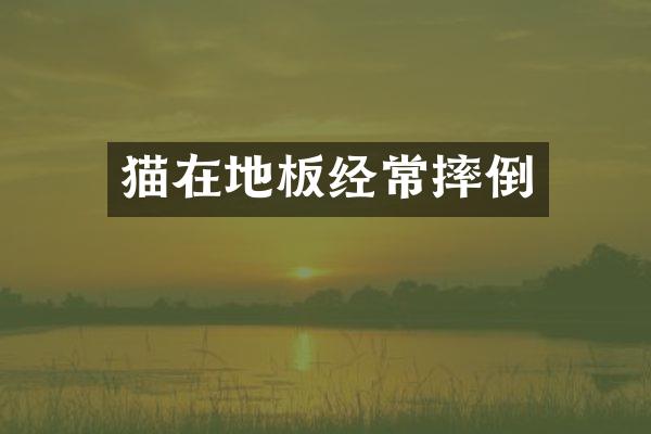 猫在地板经常摔倒