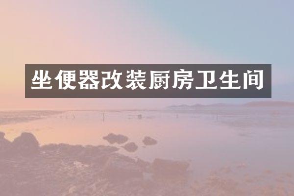 坐便器改装厨房卫生间