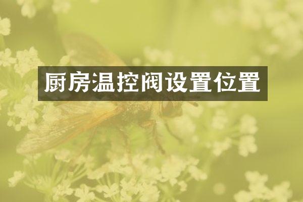 厨房温控阀设置位置