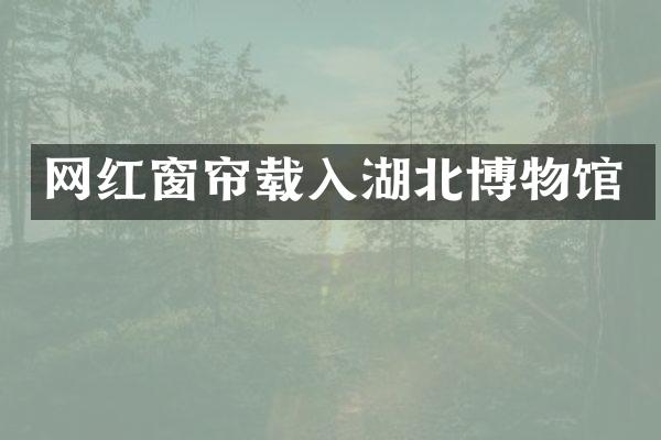 网红窗帘载入湖北博物馆