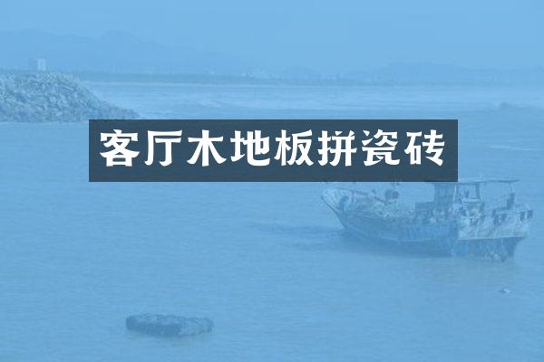 客厅木地板拼瓷砖