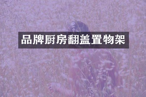 品牌厨房翻盖置物架
